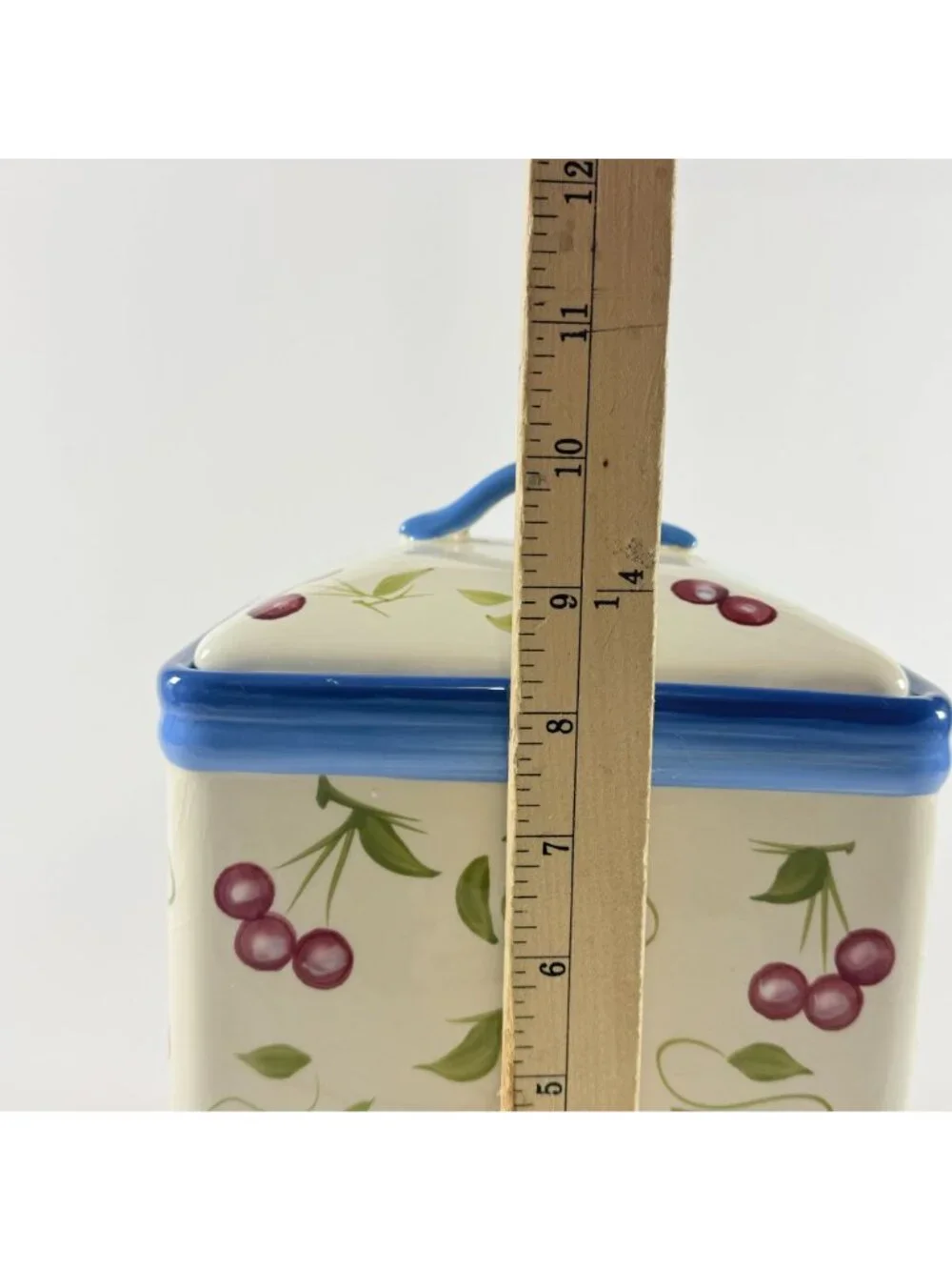 Inspirado StoneLite Cherry Canister Hand Painted Ceramic Kitchen Storage Jar Lid
